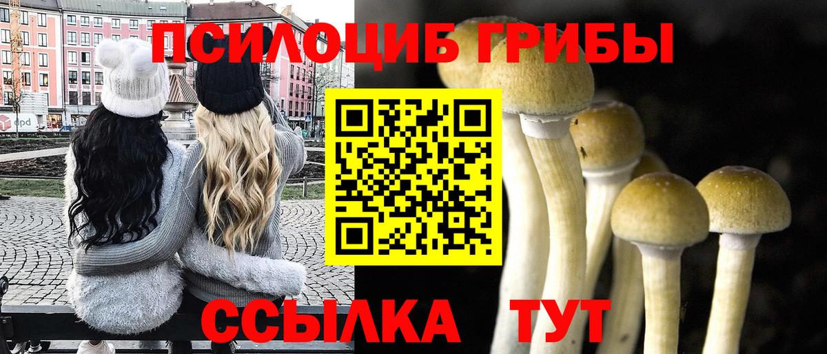 Псилоцибиновые грибы Psilocybine cubensis Соль-Илецк